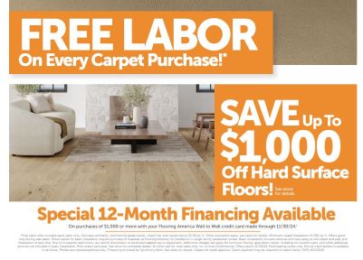 Free Labor on every carpet purchase, 12 month special financing, room scene photo of living room