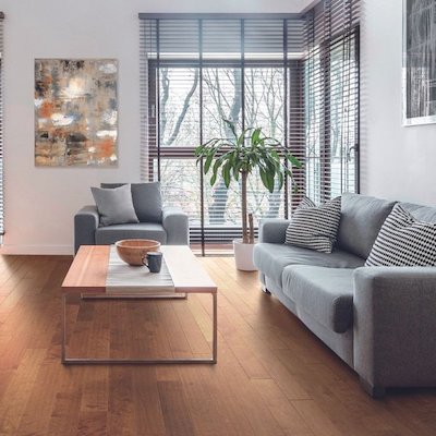 hardwood flooring in a cozy living room 